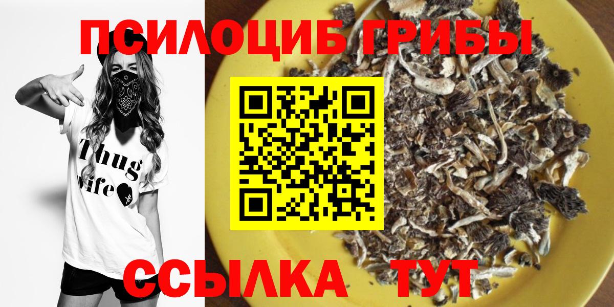 Галлюциногенные грибы Cubensis  Вход с VPN  Галлюциногенные грибы Cubensis  Долгопрудный 